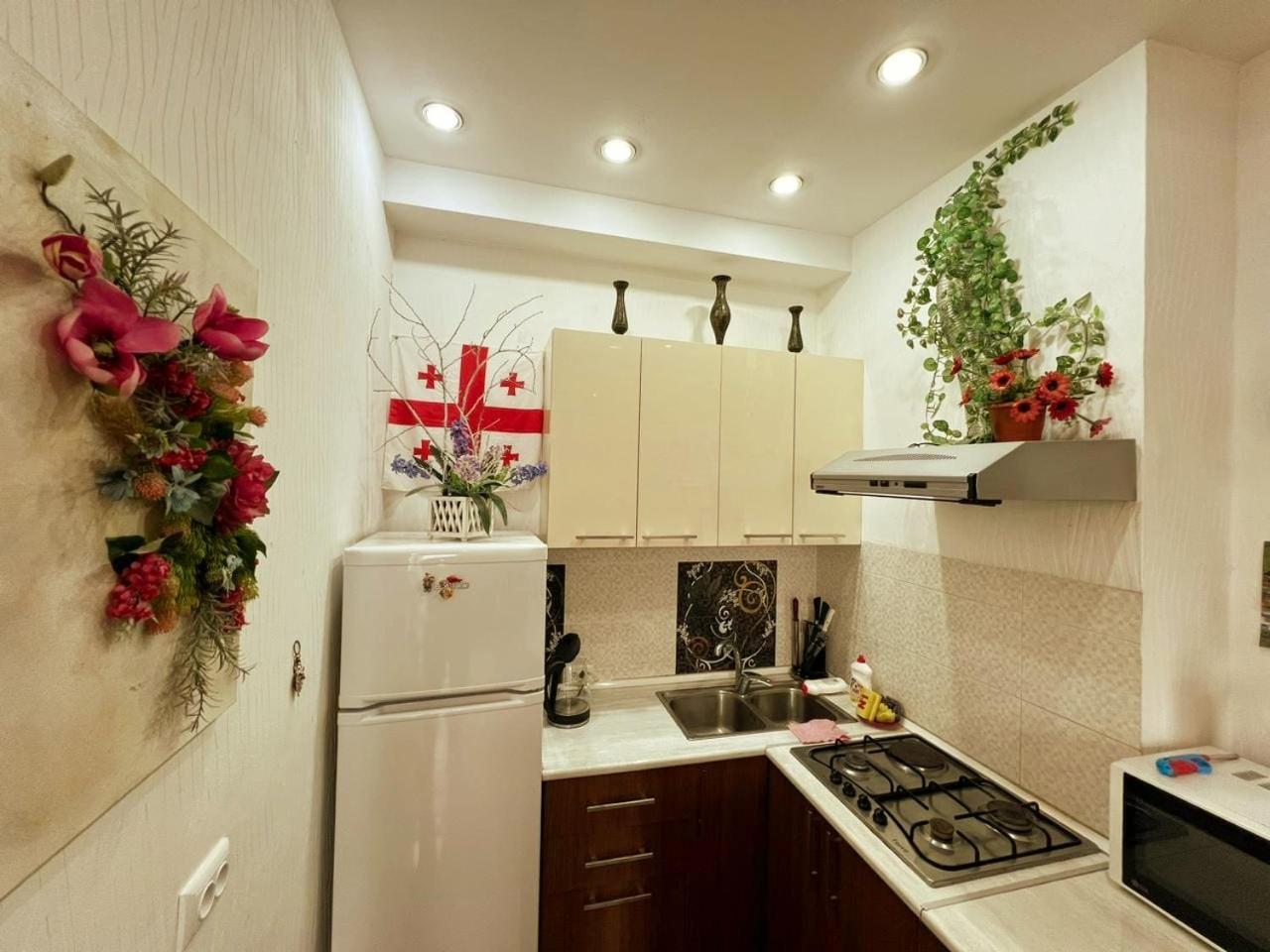 Cozy Apartment In The City Center Mtatsminda Tbilisi Esterno foto